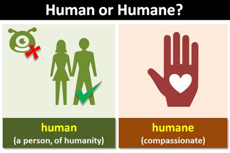 humane meanign